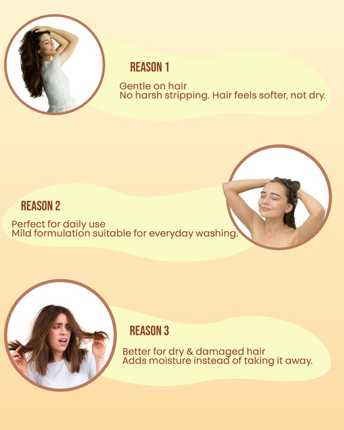 Shouwu Shampoo Bar