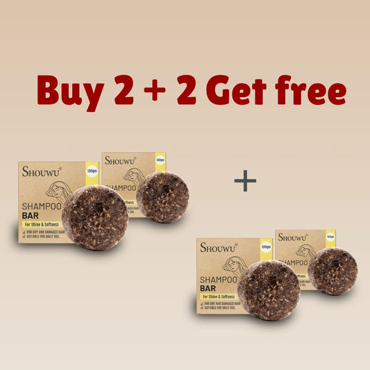 Shampoo Bar Soap (Buy 2 Get 2 Free)